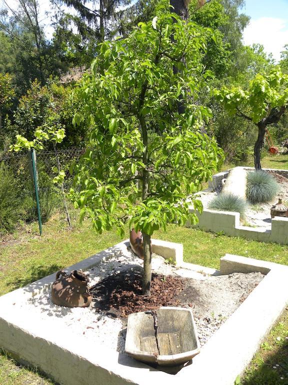 אנדרנוס-לה-באינס Villa Mogador Piscine Et Balneo מראה חיצוני תמונה
