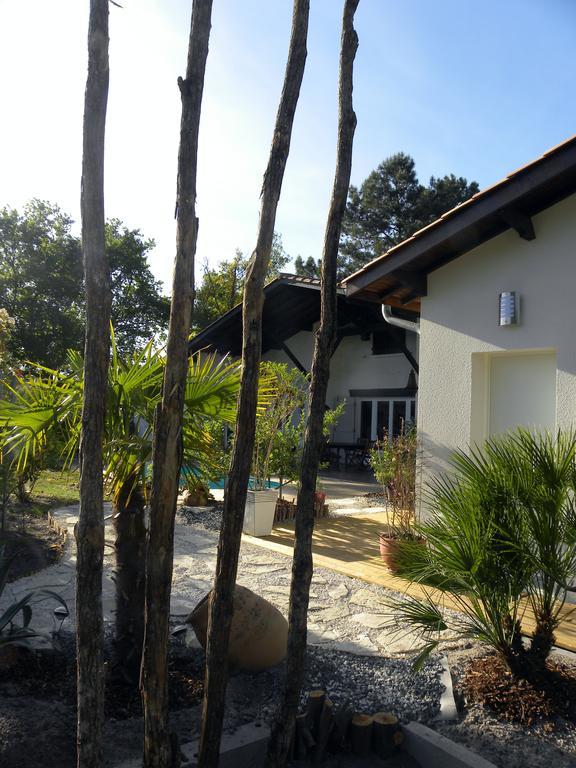 אנדרנוס-לה-באינס Villa Mogador Piscine Et Balneo מראה חיצוני תמונה