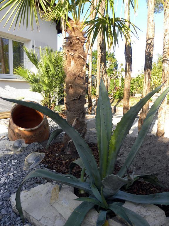 אנדרנוס-לה-באינס Villa Mogador Piscine Et Balneo מראה חיצוני תמונה